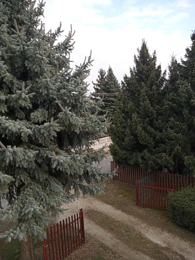 شقة Borostyan Vendeghaz Balatonkeresztúr المظهر الخارجي الصورة